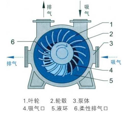 水環式真空泵